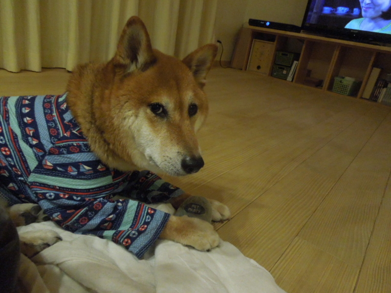 f:id:miyuki1967:20131003215022j:image:w400 f:id:miyuki1967:20131003215022j:image:w400