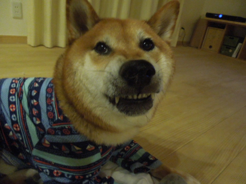 f:id:miyuki1967:20131003215043j:image:w400 f:id:miyuki1967:20131003215043j:image:w400
