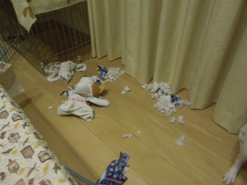 f:id:miyuki1967:20131003215302j:image:w400 f:id:miyuki1967:20131003215302j:image:w400