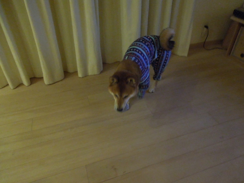 f:id:miyuki1967:20131003215322j:image:w400 f:id:miyuki1967:20131003215322j:image:w400