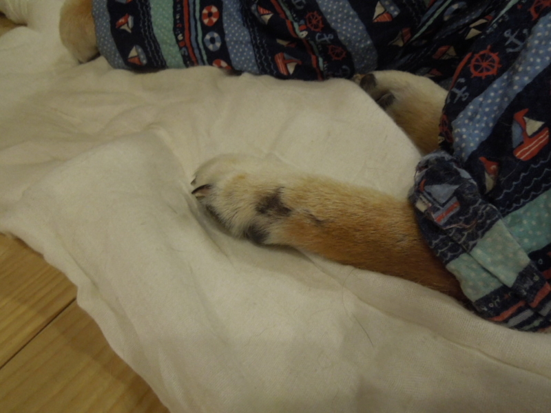 f:id:miyuki1967:20131003215357j:image:w400 f:id:miyuki1967:20131003215357j:image:w400
