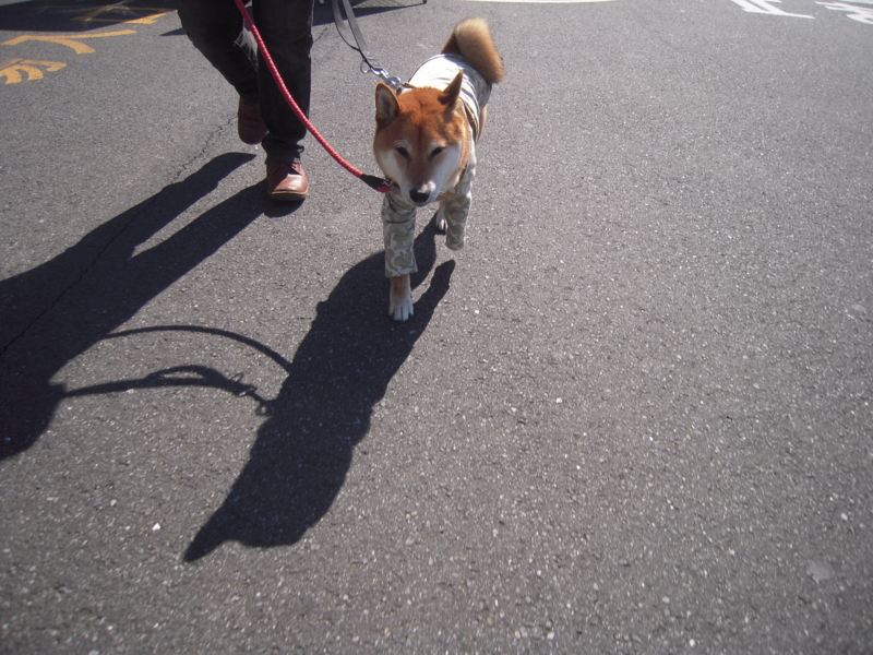 f:id:miyuki1967:20131027120931j:image:w400 f:id:miyuki1967:20131027120931j:image:w400