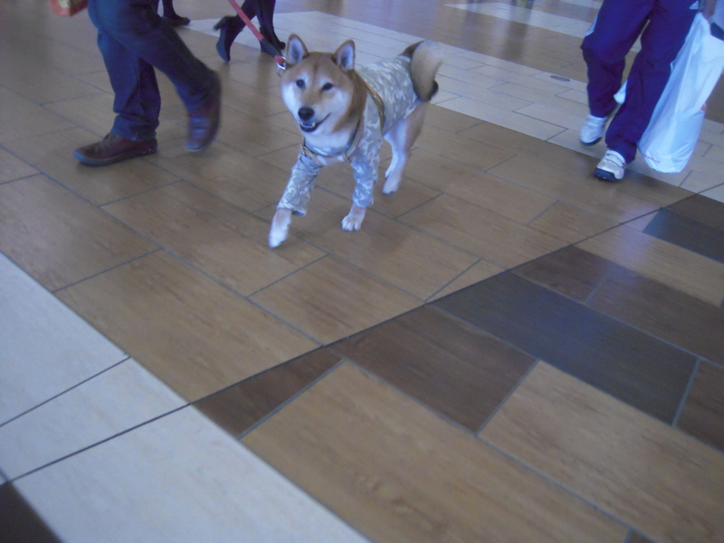 f:id:miyuki1967:20131027123025j:image:w400 f:id:miyuki1967:20131027123025j:image:w400