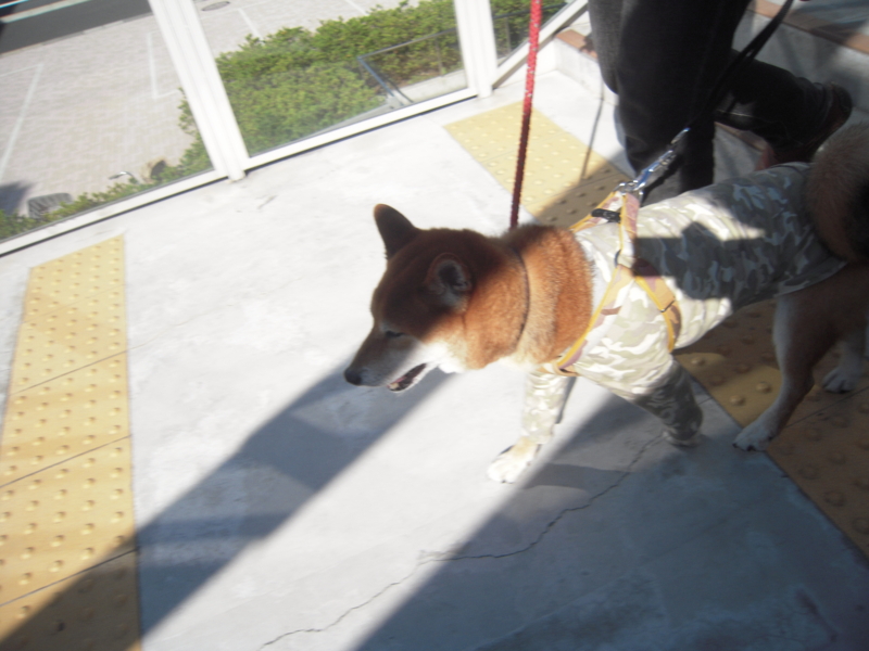 f:id:miyuki1967:20131027125935j:image:w400 f:id:miyuki1967:20131027125935j:image:w400