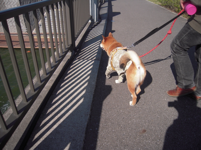 f:id:miyuki1967:20131027130254j:image:w400 f:id:miyuki1967:20131027130254j:image:w400