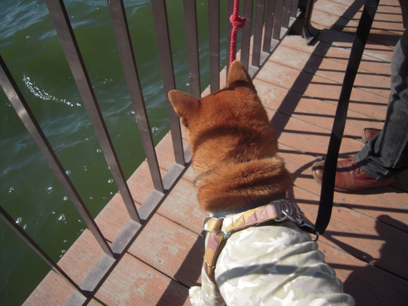 f:id:miyuki1967:20131027130359j:image:w400 f:id:miyuki1967:20131027130359j:image:w400