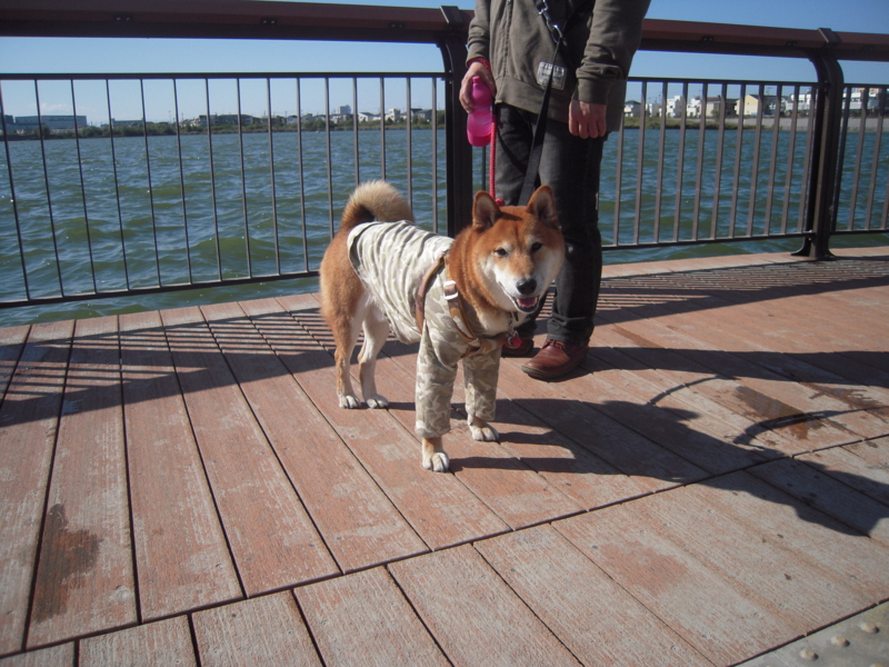 f:id:miyuki1967:20131027130439j:image:w400 f:id:miyuki1967:20131027130439j:image:w400