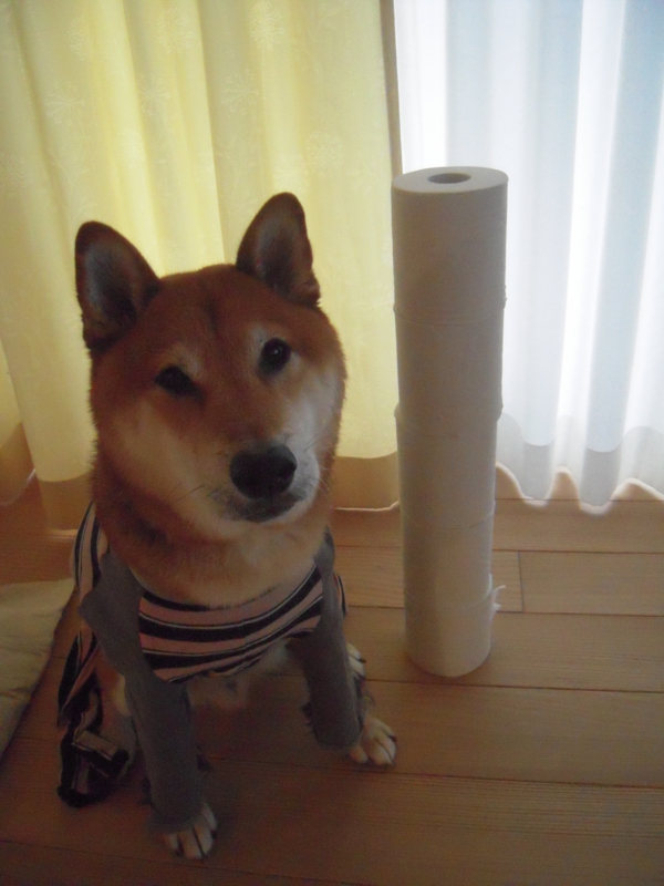 f:id:miyuki1967:20131028073609j:image:w400 f:id:miyuki1967:20131028073609j:image:w400