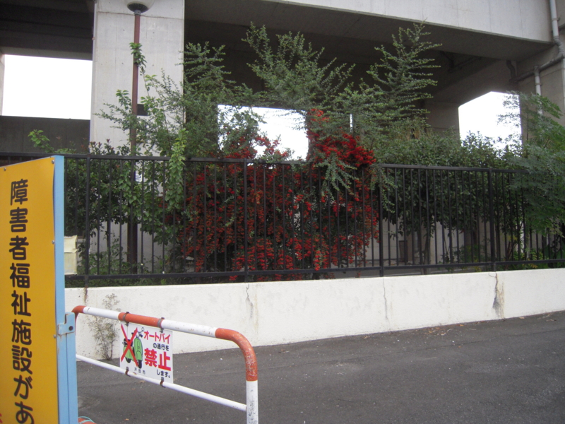 f:id:miyuki1967:20131029064147j:image:w400 f:id:miyuki1967:20131029064147j:image:w400