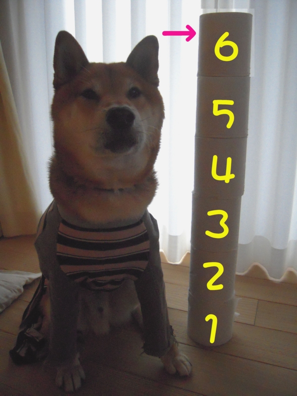 f:id:miyuki1967:20131030120226j:image:w400 f:id:miyuki1967:20131030120226j:image:w400