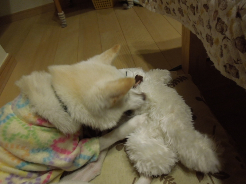 f:id:miyuki1967:20131124204956j:image:w400