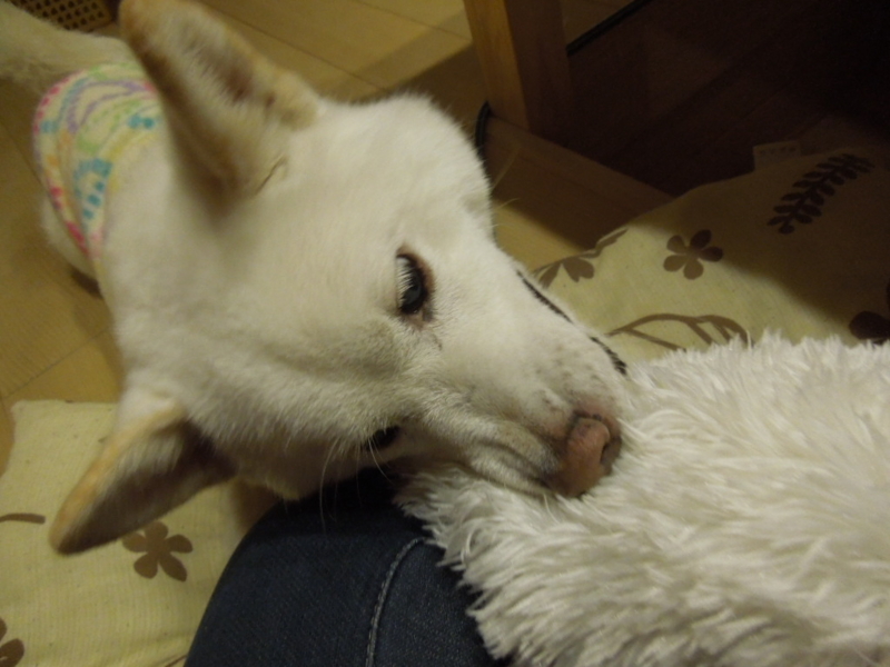 f:id:miyuki1967:20131124205404j:image:w400