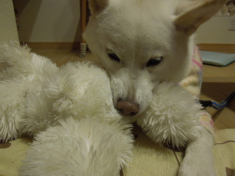 f:id:miyuki1967:20131124205433j:image:w400