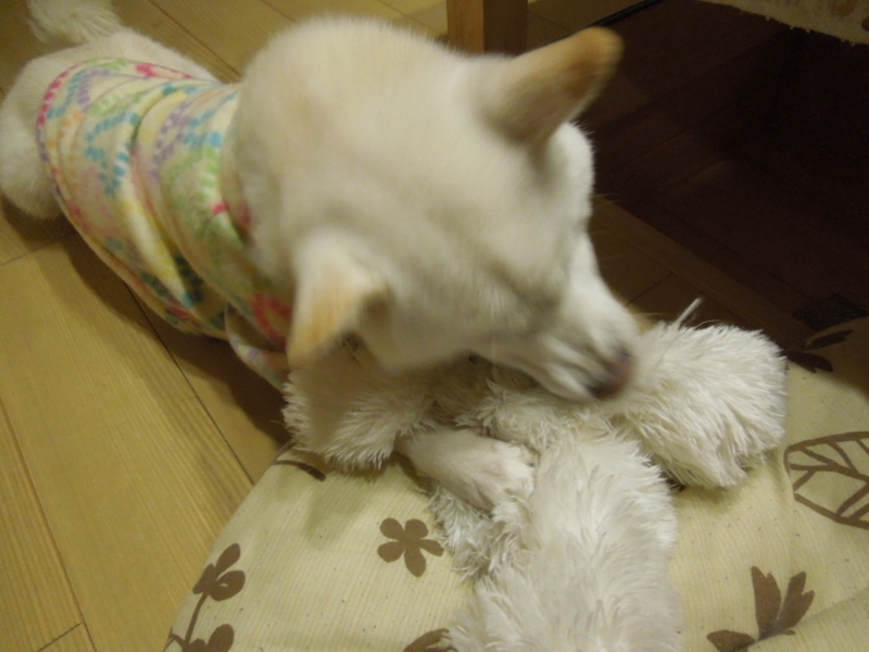 f:id:miyuki1967:20131124205709j:image:w400