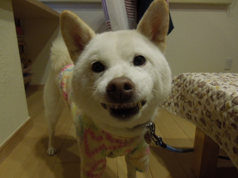 f:id:miyuki1967:20131124205835j:image:w400