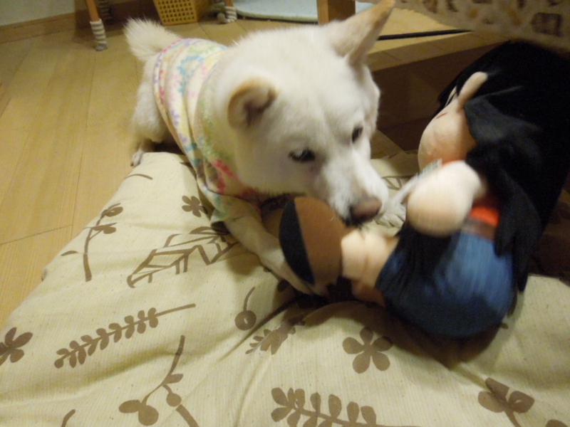 f:id:miyuki1967:20131124210305j:image:w400