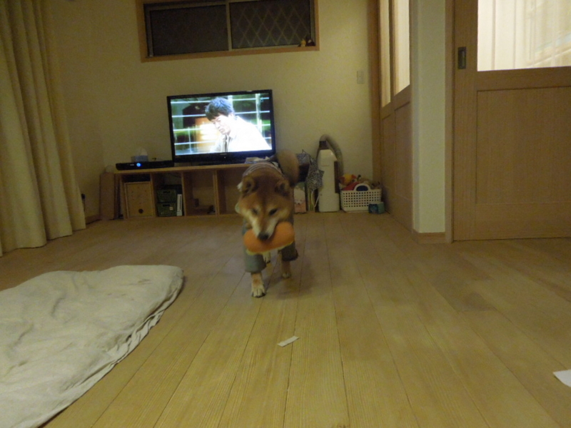 f:id:miyuki1967:20131126223959j:image:w400