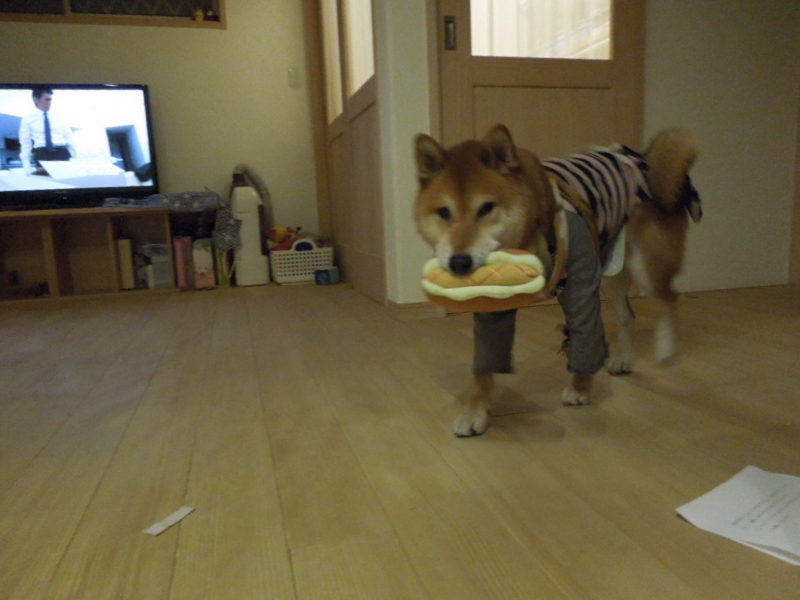 f:id:miyuki1967:20131126224022j:image:w400