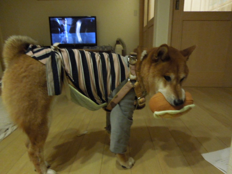 f:id:miyuki1967:20131126224110j:image:w400