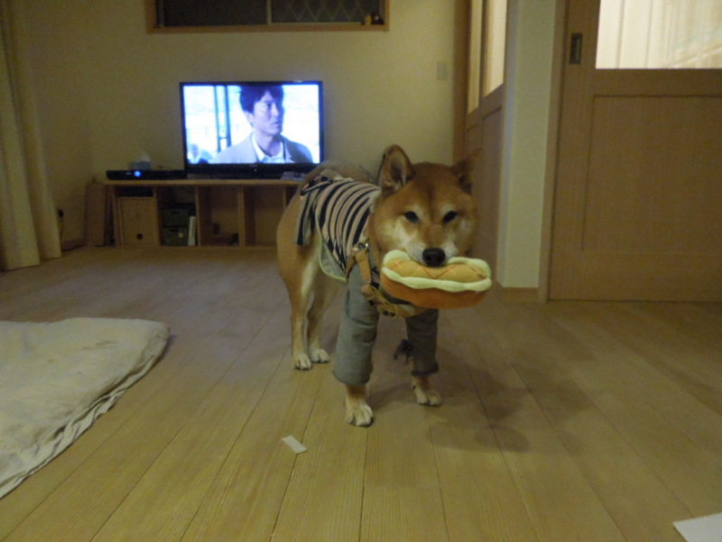 f:id:miyuki1967:20131126224223j:image:w400