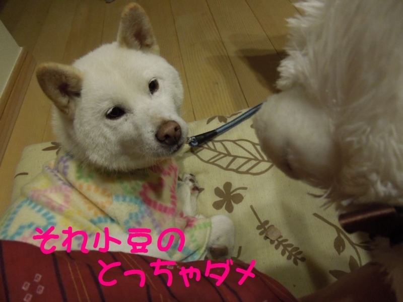 f:id:miyuki1967:20131129124953j:image:w400