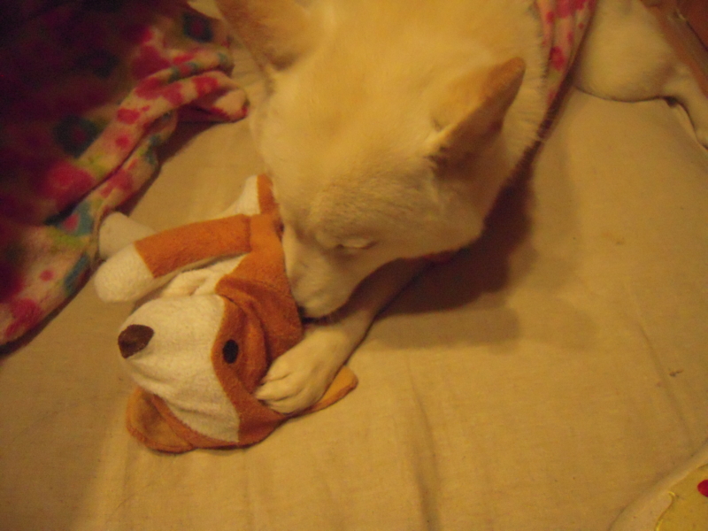 f:id:miyuki1967:20131213224421j:image:w400