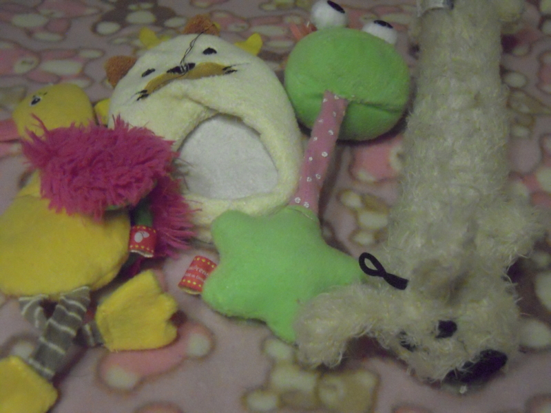 f:id:miyuki1967:20131213224810j:image:w400