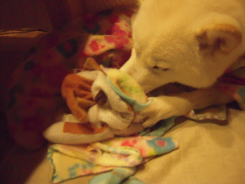 f:id:miyuki1967:20131213225522j:image:w400