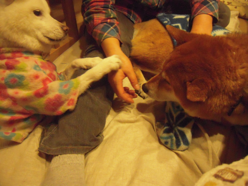 f:id:miyuki1967:20131214215315j:image:w400