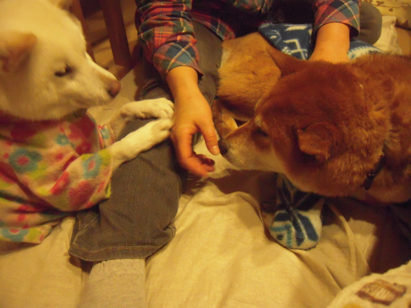 f:id:miyuki1967:20131214215316j:image:w400