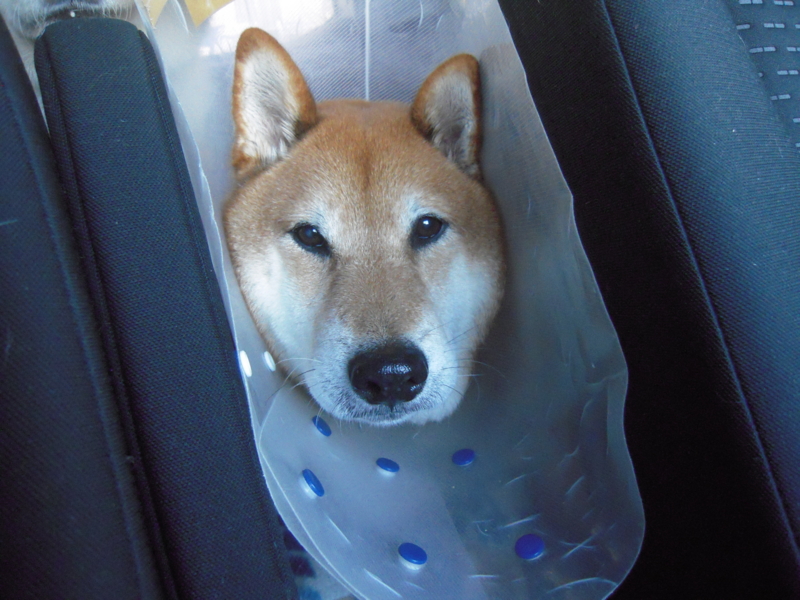 f:id:miyuki1967:20131215102507j:image:w400