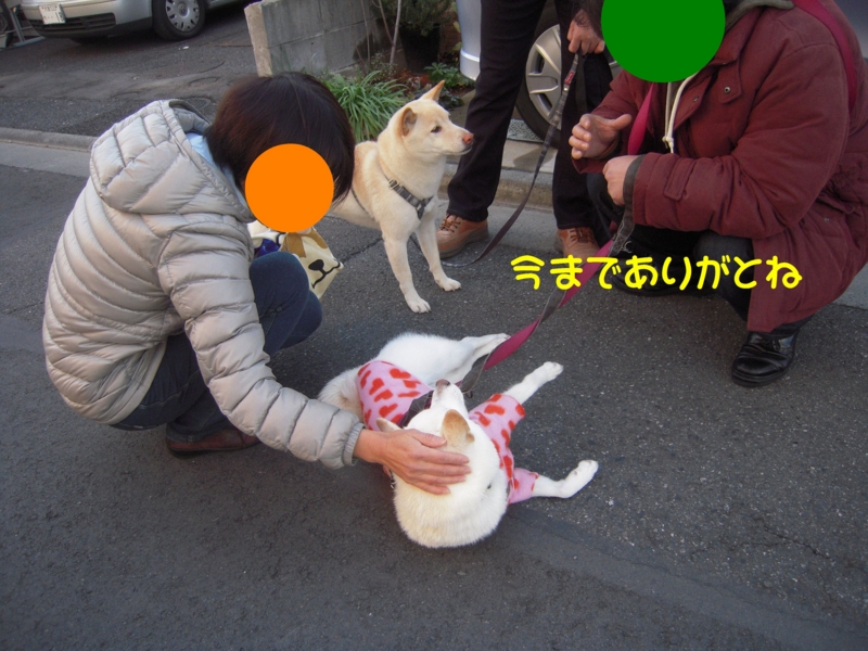 f:id:miyuki1967:20131217114921j:image:w400 f:id:miyuki1967:20131217114921j:image:w400
