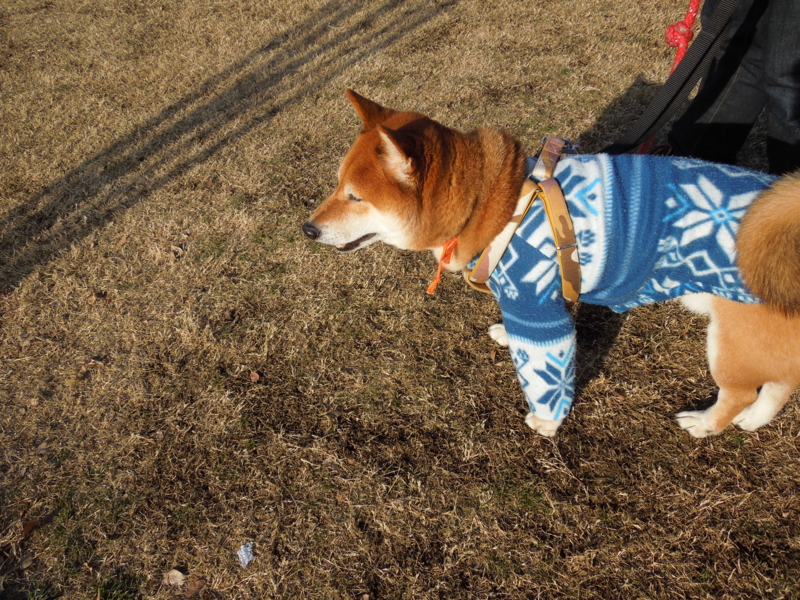 f:id:miyuki1967:20131230135938j:image:w400