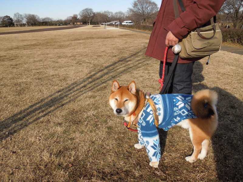 f:id:miyuki1967:20131230135947j:image:w400