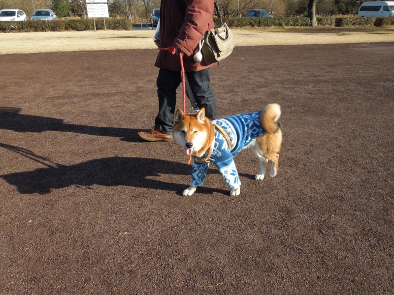 f:id:miyuki1967:20131230140240j:image:w400