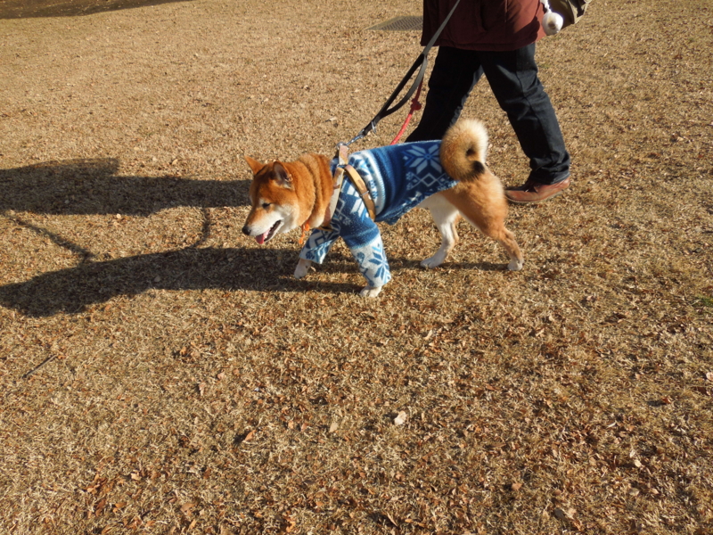 f:id:miyuki1967:20131230140321j:image:w400