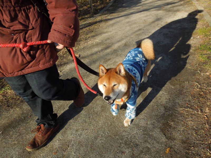 f:id:miyuki1967:20131230141429j:image:w400