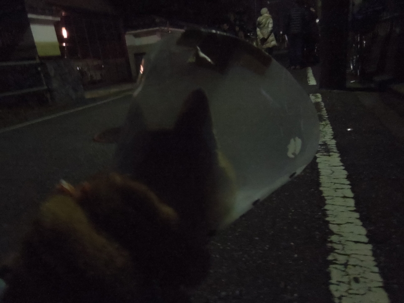 f:id:miyuki1967:20140101001040j:image:w400 f:id:miyuki1967:20140101001040j:image:w400