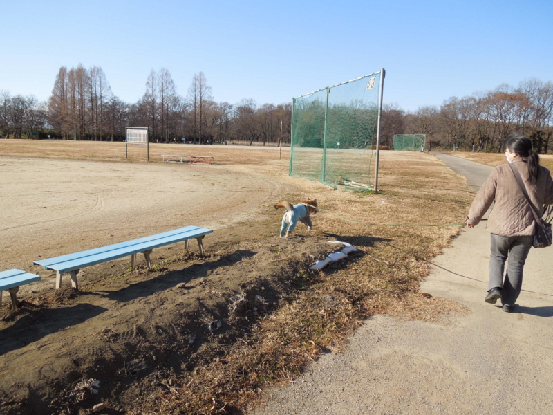 f:id:miyuki1967:20140102135136j:image:w400