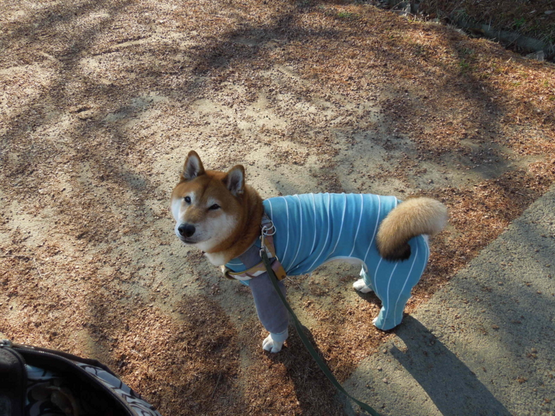 f:id:miyuki1967:20140102135543j:image:w400