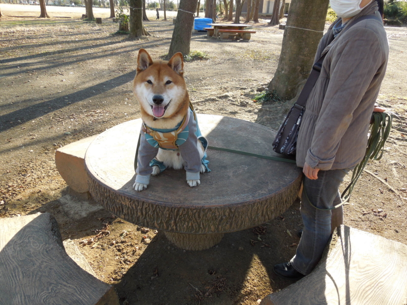 f:id:miyuki1967:20140102135824j:image:w400