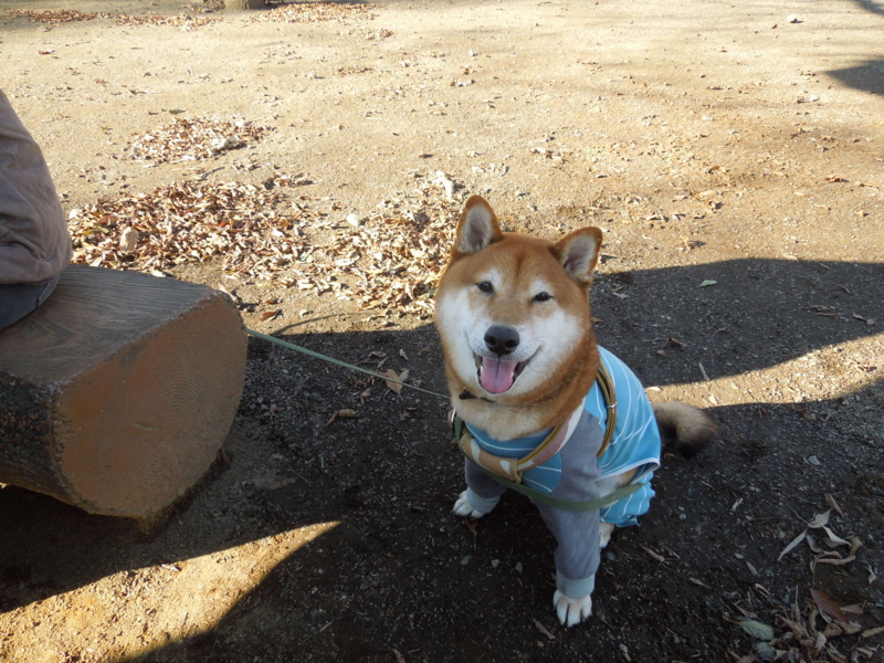 f:id:miyuki1967:20140102135912j:image:w400