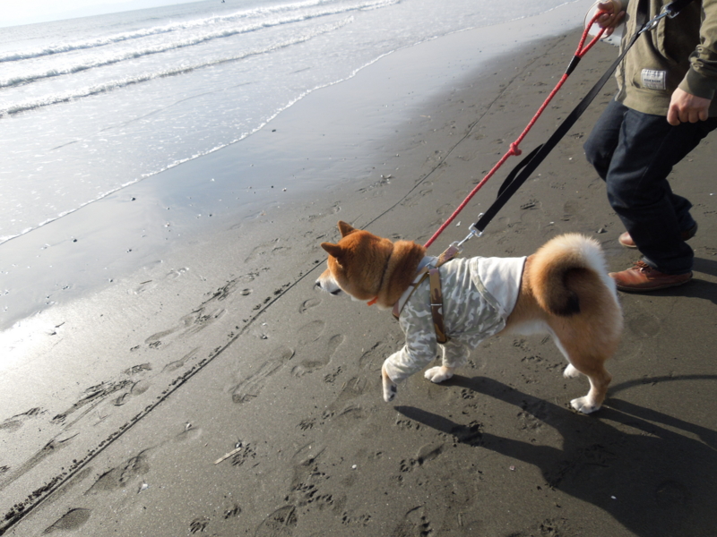 f:id:miyuki1967:20140104135514j:image:w400