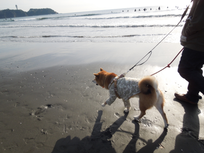 f:id:miyuki1967:20140104135554j:image:w400