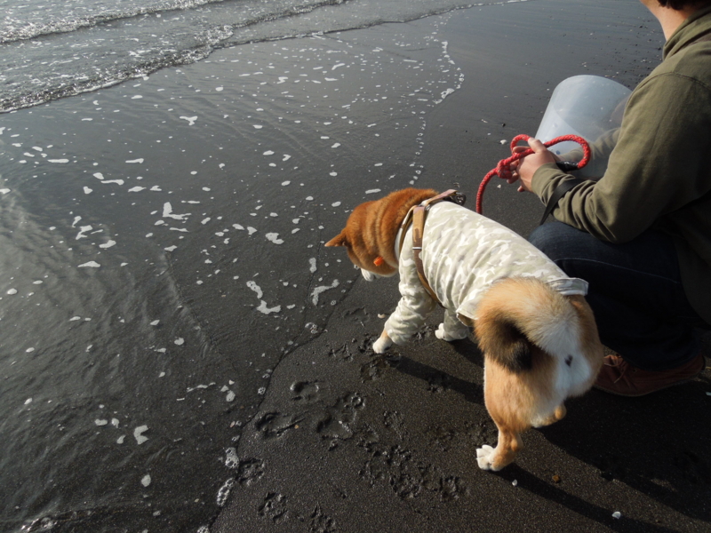 f:id:miyuki1967:20140104135803j:image:w400