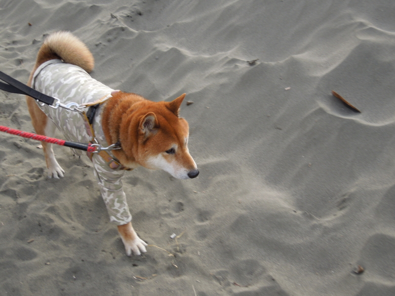 f:id:miyuki1967:20140104140433j:image:w400