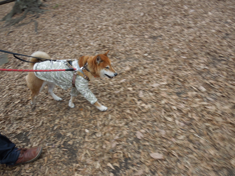 f:id:miyuki1967:20140105102839j:image:w400