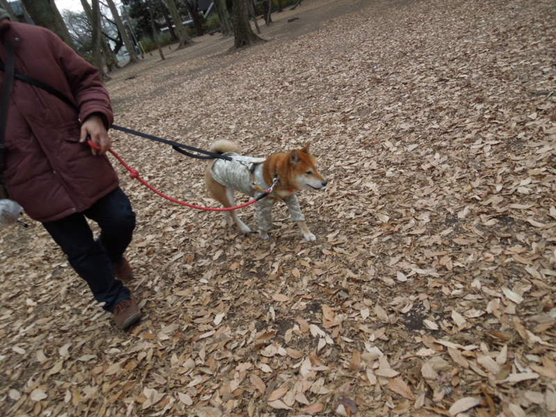 f:id:miyuki1967:20140105103228j:image:w400