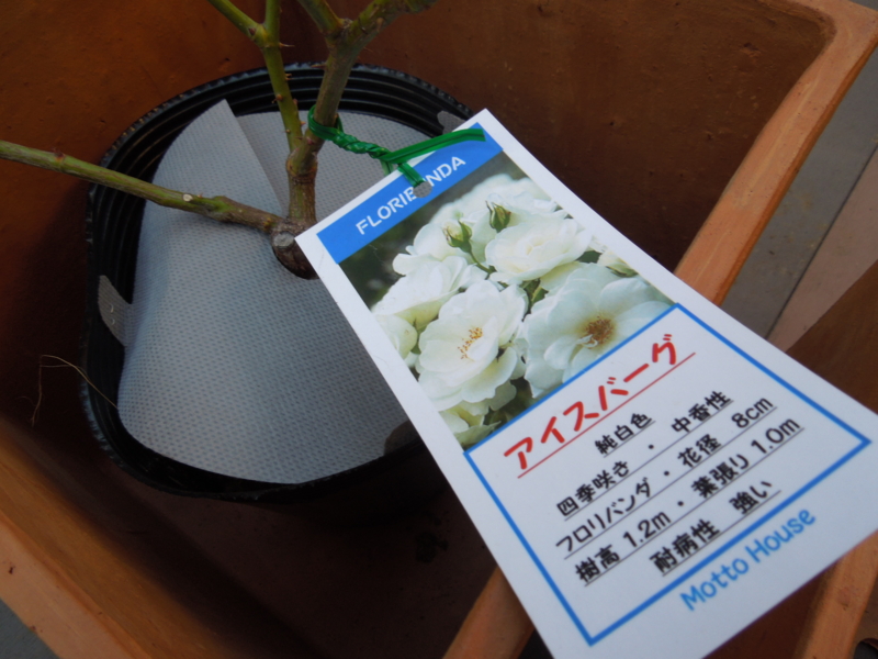 f:id:miyuki1967:20140107081610j:image:w400