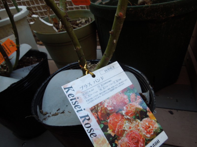 f:id:miyuki1967:20140107081624j:image:w400